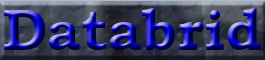 Databrid Logo